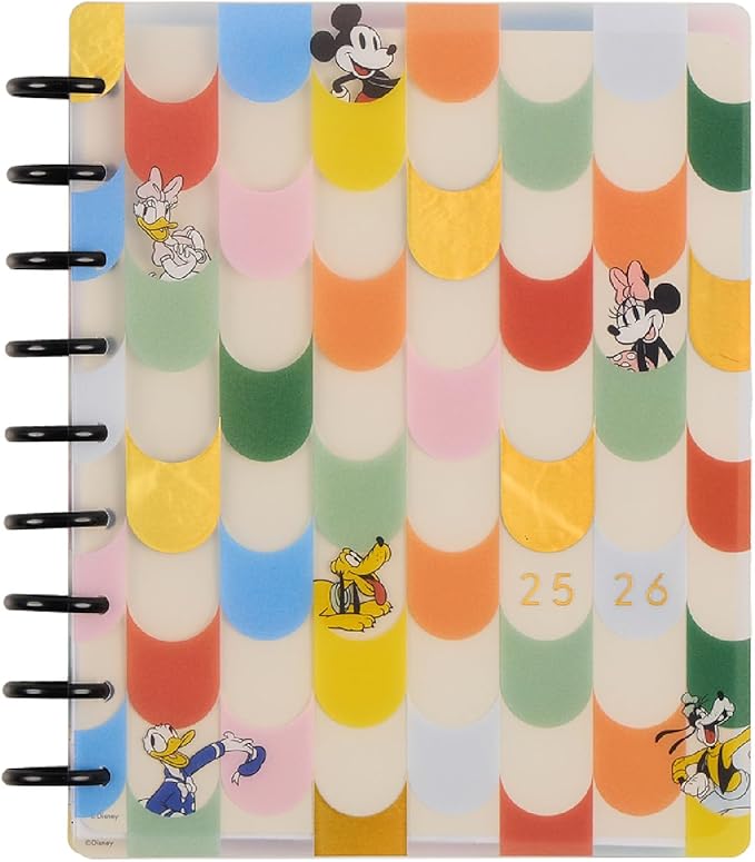 Happy Planner Disney Disc-Bound 12-Month Academic Planner, July 2025–June 2026 Planner, 3 Extra Months, 2 Sticker Sheets, Classic Size, Vertical Layout, Mickey Mouse & Friends Theme, Current Classroom, 7" x 9.25”