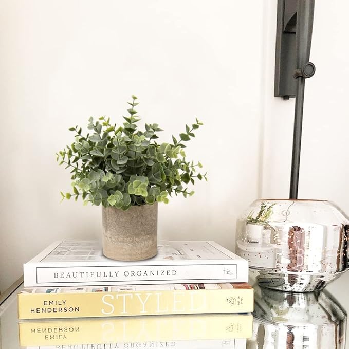 Briful Artificial Potted Plants Set of 2 Small Faux Plant Eucalyptus Mini Fake Plant Decor for Home Table Office Room Desk Bathroom Shelf Kitchen Rustic