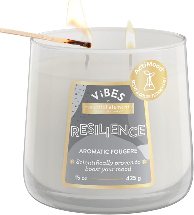 Candle-Lite Vibes Aromatic Fougere Mood-Enhancing Scented Candles, 15 oz Jar, Aromatherapy, Proudly Poured in The USA, 2-Wick, 86 Hours Burn Time, Perfect Relaxation Gift