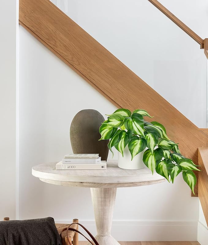 Hollyone Artificial Plants Potted Fake Plants in White Ceramic Pot Faux Pothos Plants Indoor for Home Living Room Shelf Office Aesthetic Decor