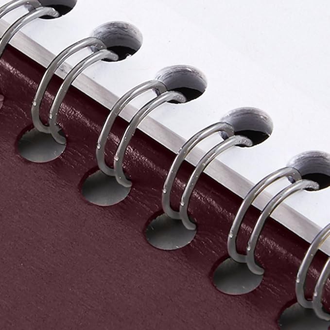 AT-A-GLANCE 2025 Appointment Book Planner, Weekly, 8" x 11", Large, Quarter-Hourly, DayMinder, Burgundy (G5201425)