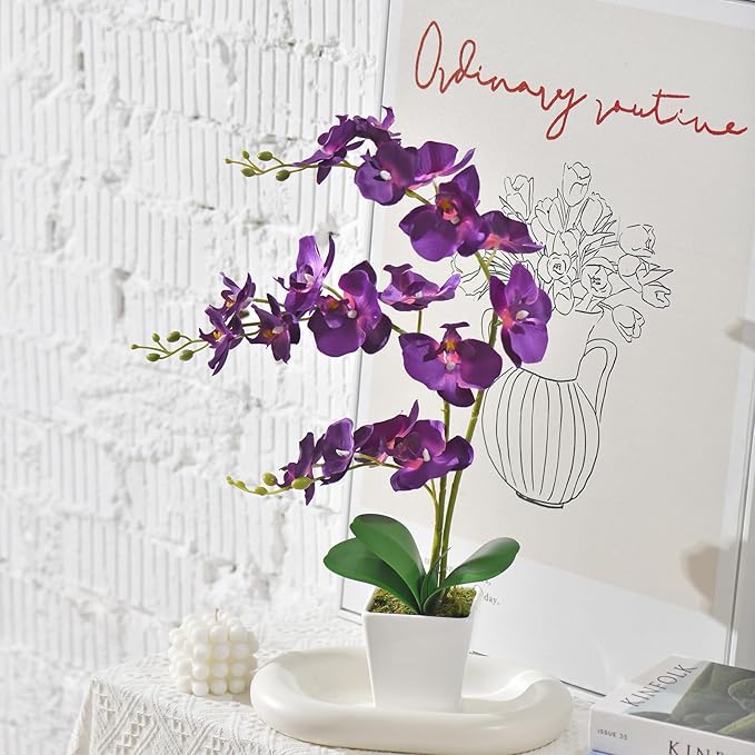 Faux Orchid in Vase Artificial Orchid in Ceramic Vase Tall Silk Orchids with Stems Real Look Phalaenopsis Flowers Arrangement Centerpiece Table Decorations for Home Decor Indoor, Dark Purple
