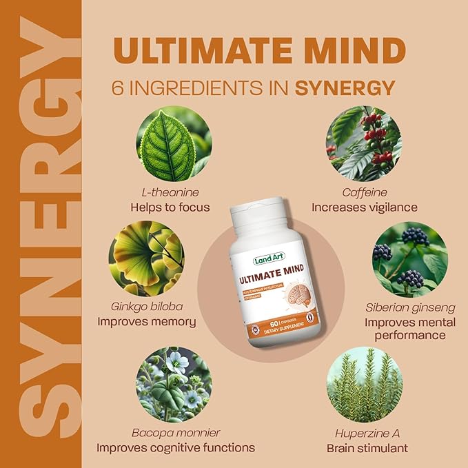 Ultimate Mind – Brain Supplement – Memory, Focus, Mental Sharpness, Brain Booster, Enhanced Productivity – 6 Ingredients: L-theanine, Ginko Biloba, Bacopa Monnieri, Ginseng and More - 60 Capsules