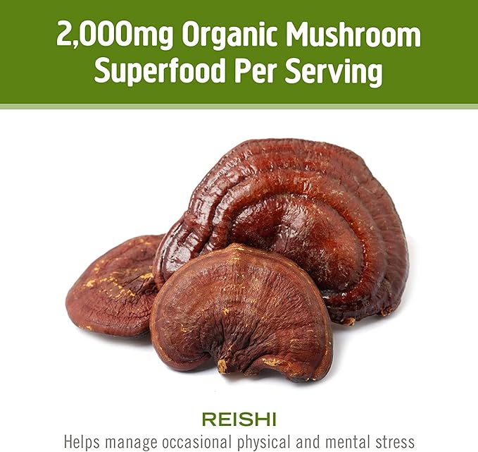 OM MUSHROOM SUPERFOOD Reishi Mushroom Capsules Superfood Supplement, 90 Count, 30 Days, Organic Adaptogen for Stress Relief and Immune Health
