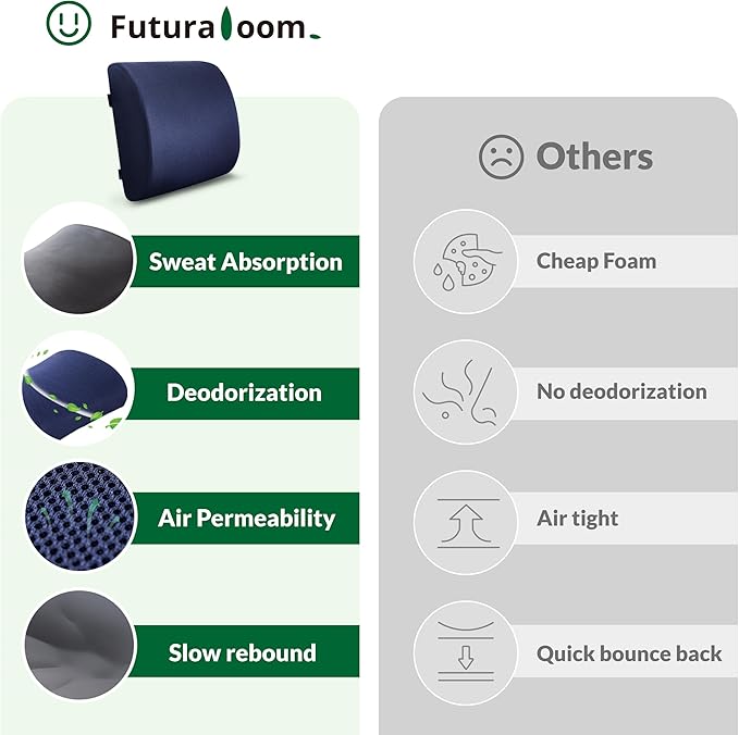 Back Support Pillow for Office Chair and Car Seat,Lumbar Support for Office,Charcoal Memory Foam Back Cushion-Breathable Mesh Cover,Double Adjustable Straps,Dark Blue