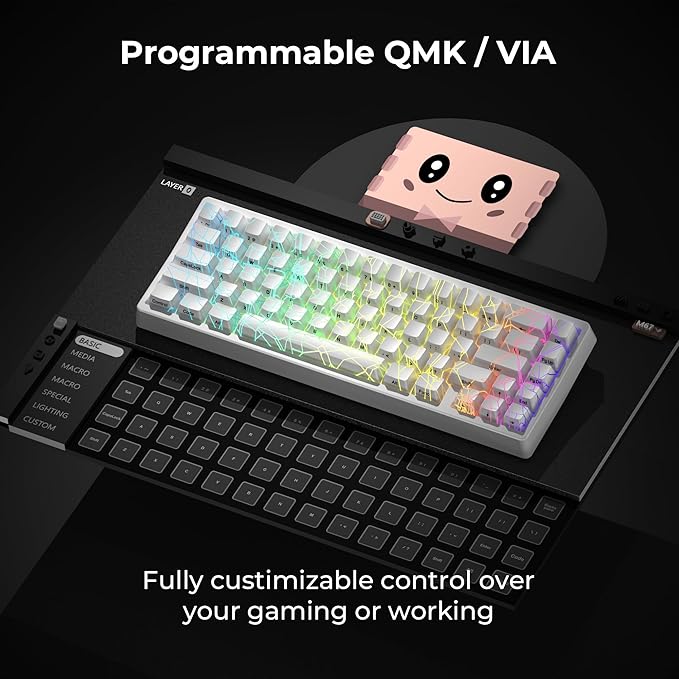 x XVX M67 Wireless 60% Percent Keyboard, QMK/VIA Topographic Gaming Keyboard, Tri-Mode Thocky Creamy Mechanical Key board, Hot Swappable Gasket Mount RGB IMD Tech for Win/Mac, Spider Web Theme, White