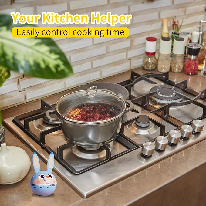 Mechanical Kitchen Timer, Cute Wind Up 60-Minute Manual Countdown for Kids, Classroom, Home, Study and Cooking