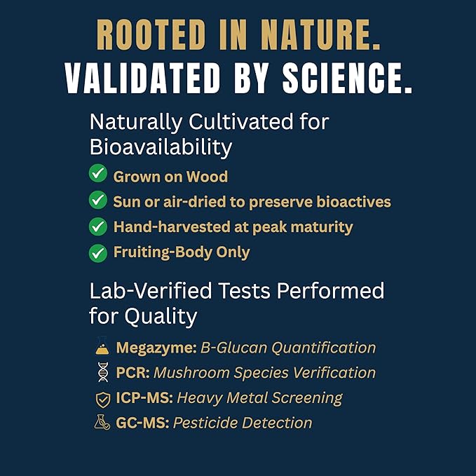 Monkey Brew Rise & Focus USDA Organic Mushroom Coffee | Boosts Focus, Energy, Immunity & Mood | 1,750mg Adaptogens: Lion’s Mane, Turkey Tail, KSM-66 Ashwagandha | Low Caffeine, Fruiting Body
