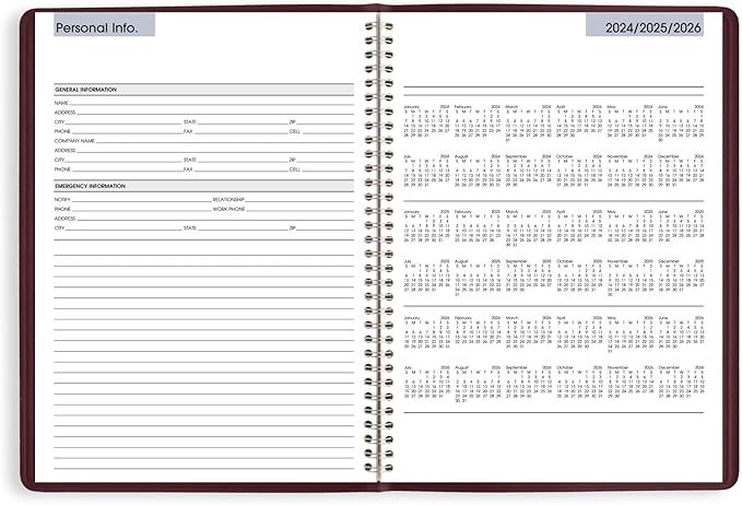 AT-A-GLANCE 2025 Appointment Book Planner, Weekly, 8" x 11", Large, Quarter-Hourly, DayMinder, Burgundy (G5201425)