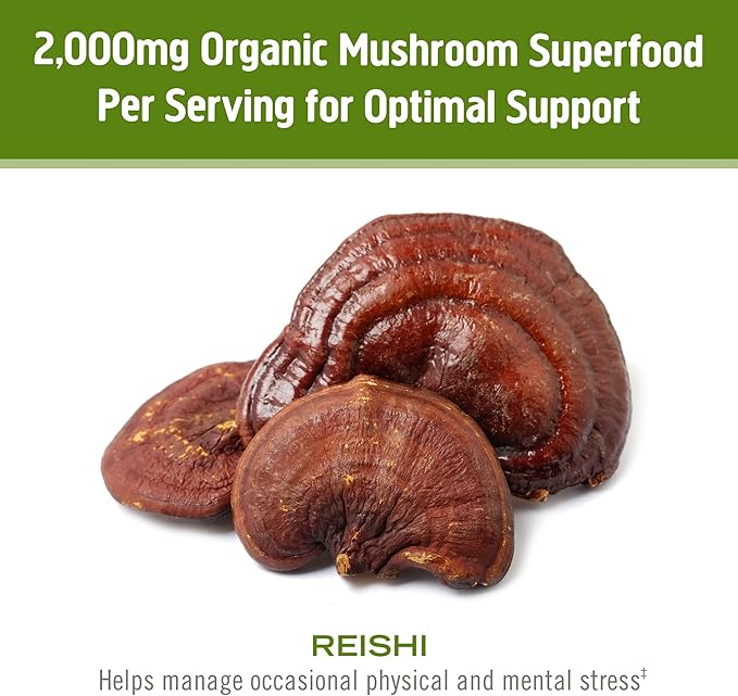 Om Mushroom Superfood Reishi Organic Mushroom Powder, 100 Servings, Organic Adaptogen Powder for Stress Relief and Immune Health