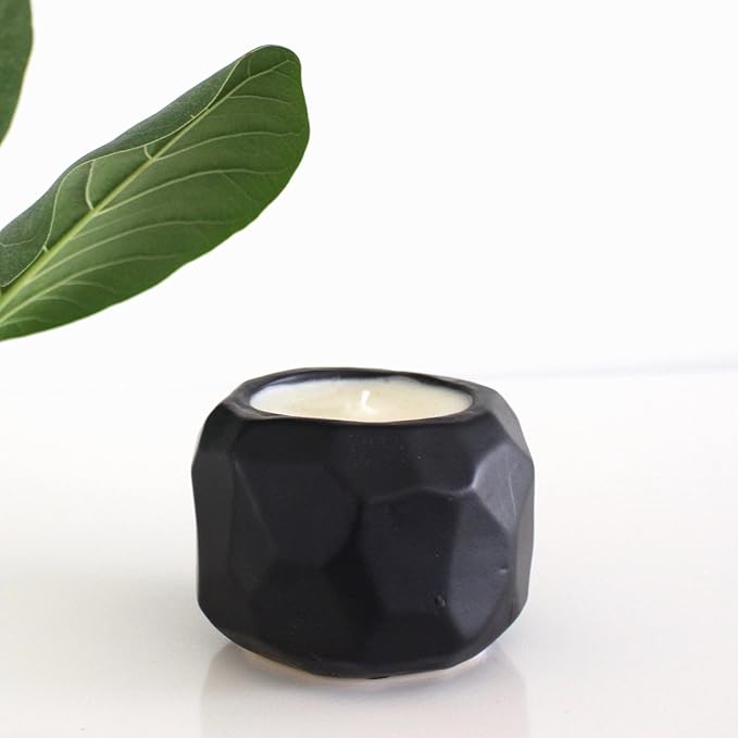 The Growing Candle, Lemongrass Scented, 13oz Ceramic Pot, Single Wick Aromatherapy Candles, 100% Soy for Women and Men, Emma