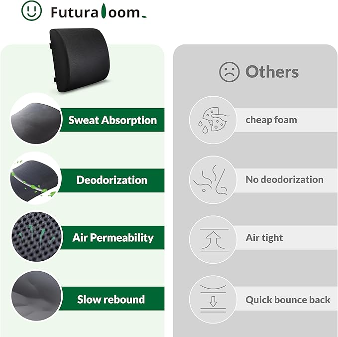 Lumbar Support Pillow for Office Chair Car Seat,Charcoal Memory Foam Chair Back Cushion for Back Pain Relief with Double Adjustable Straps