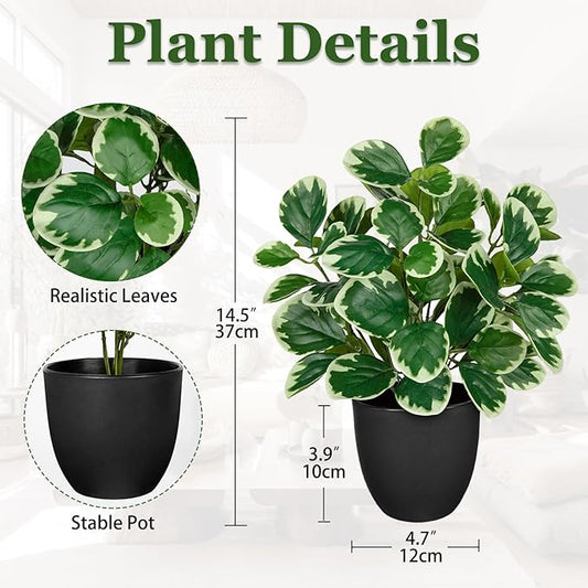 14.5" Artificial Plants Indoor Home Decor, Fake Potted Silk Plants for Shelves Living Room Decorative, Small Artificial Office Desk Plant in Pots, Faux Peperomia Hope Tropical House Plant