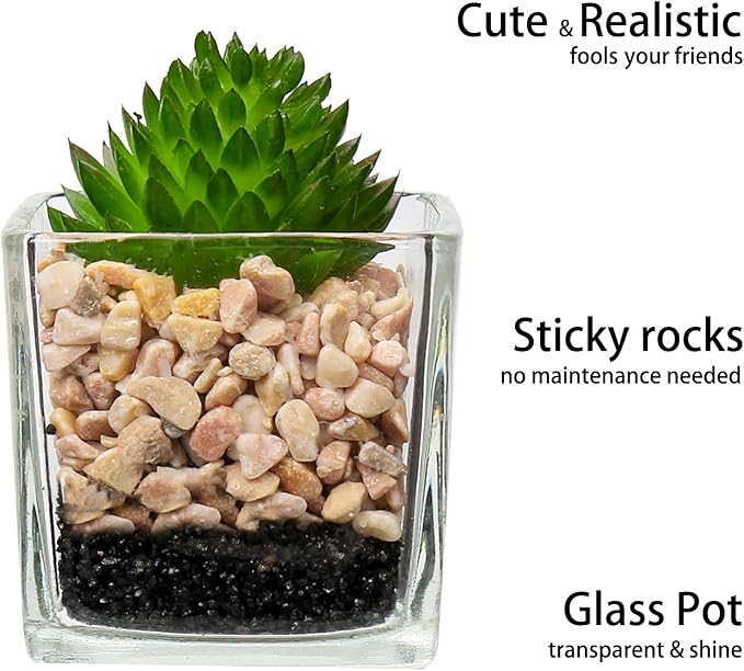 Briful Set of 3 Succulents Plants Artificial in Glass Pots Small Fake Succulents Plants Faux Plants Indoor for Home Office Table Desk Shelf Room Decor