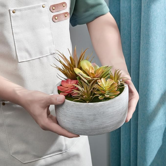 Artificial Succulent Plants Potted Indoor with Ceramic Pot - Fake Low Maintenance Plants for Bedroom, Bathroom, Coffee Table Decor - Home Office Desk & Room Aesthetics