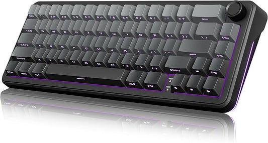 RedThunder K65 Wireless Mechanical Gaming Keyboard, Trip-Modes Connection, Gasket Custom Hot-Swap Keyboard, RGB Backlit, Pre-lubed Linear Switches, Side Printed PBT Keycaps, Gradient Gray