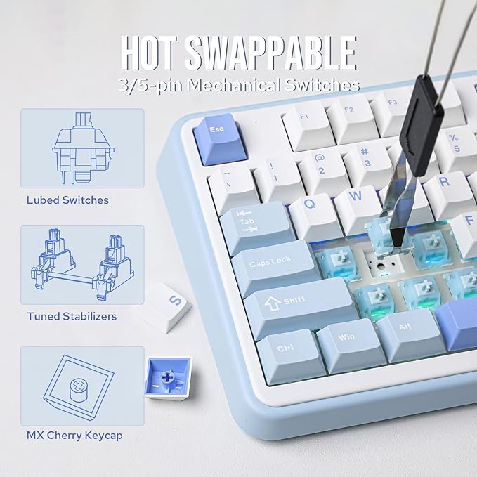 EPOMAKER TH99 Tri-Mode Wireless Mechanical Keyboard with 8000mAh Battery, Hot Swappable Custom RGB Gaming Keyboard with Numpad, Gasket Creamy for PC/Mac/Office (Blue&White)