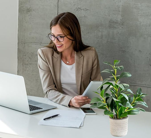 AlphaAcc 16 inch Artificial Indoor Plants Office Desk Faux Plant Peperomia Leaf Ficus Plant Realistic Small Fake Farmhouse Plants for Home Kitchen Bathroom Bedroom Evergreen Decor