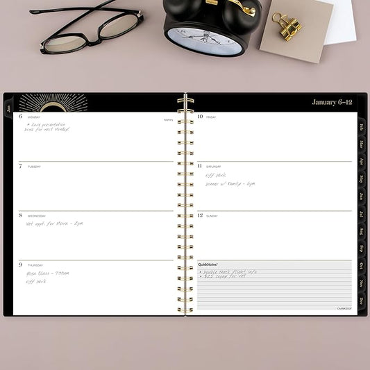 Cambridge 2025 Planner, Weekly & Monthly, 8-1/2" x 11", Large, Radiate (1725-905-25)