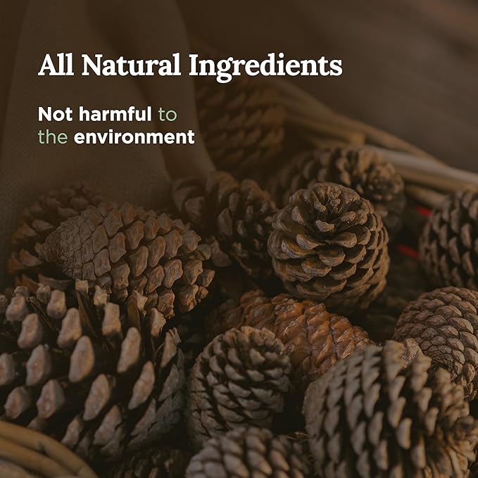 MAGNIFICENT 101 Sage & Cedarwood Scented Soy Candle - 6 Oz - 35-Hour Burn - Energy Cleansing & Stress Relief - Aromatherapy Candle & Spiritual Gifts for Women