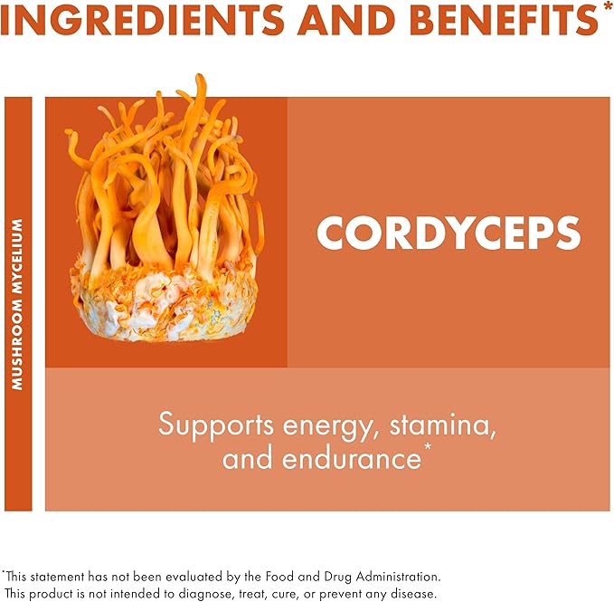 Host Defense Cordyceps Powder - Immune & Energy Support Supplement - Kidney Health Supplement with Cordyceps Mushrooms - Fitness Support Supplement to Aid Oxygen Uptake - 3.5 oz (66 Servings)*