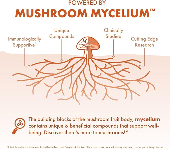 Host Defense Breathe* Capsules - Immune & Respiratory Support Mushroom Supplement - Herbal Lung Health Supplement with Chaga, Reishi & Cordyceps - 30 Capsules (15 Servings)*