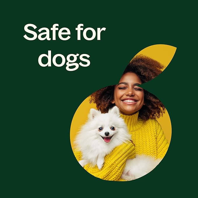 Plant Therapy Organic Lemongrass Essential Oil 100% Pure, USDA Certified Organic, Undiluted, Natural Aromatherapy, Therapeutic Grade 30 mL (1 oz)