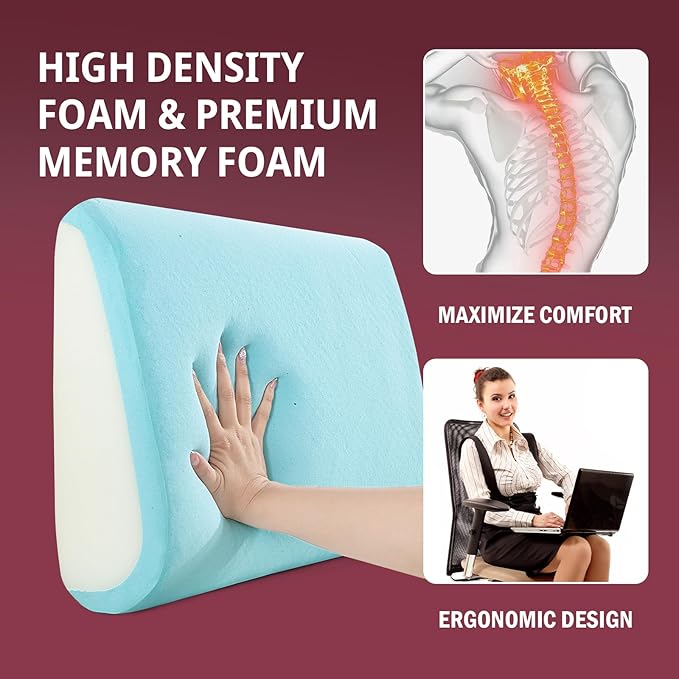 HOMBYS Lumbar Support Pillow for Recliner Chair, Memory Foam Back Support Cushion for Elderly,Extra Large Lumbar Support Pillow,Thick Backrest for Home Reading (Wine Red, 20“x13.5"x5")