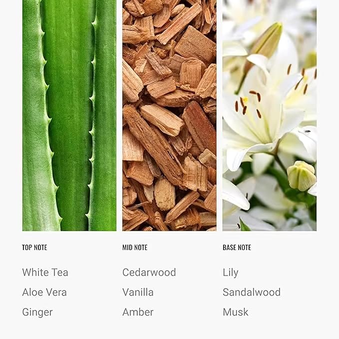 Day Dream Diffuser Oil 120ml – White Tea Essential Oil for Diffusers – Aloe Vera, Ginger, Amber & Cedarwood – Fall Home Luxury Scent – Hotel Collection Inspired Diffuser Oil Refill