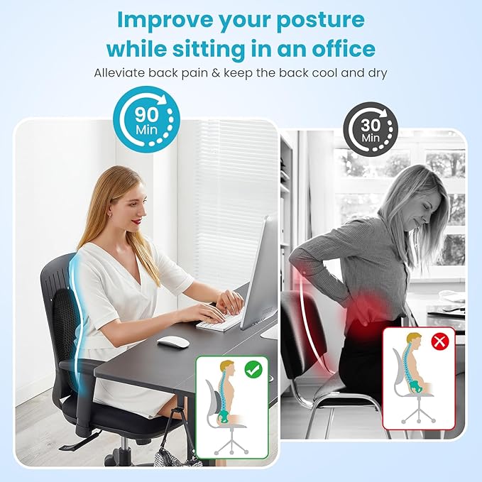 Lumbar Support Pillow Office Chair Car Back Pillow, Ergonomic Lower Back Pain Relief Breathable Air Fiber Cushion for Long Sitting Worker Driver & Handicapped, Adjustable Strap (Black)