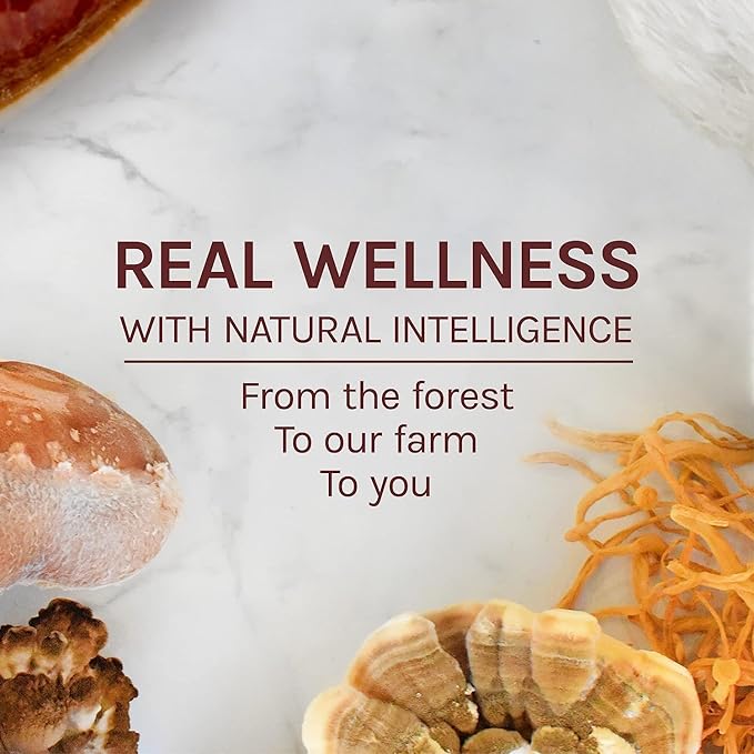 Host Defense Maitake Extract - Immune & Cellular Health Support - Dietary Herbal Supplement with Maitake Mushroom & Mushroom Mycelium - Liquid Supplement - 1 fl oz (30 Servings)