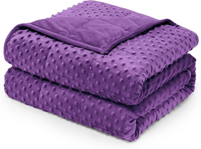Wemore Minky Dot Weighted Blanket for Adults Queen Size 20 lbs, Soft Heavy Blanket for Stress Relief and Sleep Promotion, Breathable Blanket for All-Season with Glass Beads, Purple 60 x 80 inches