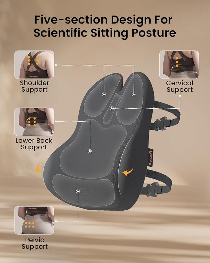 ProtoArc Lumbar Support Pillow for Office Chair, Memory Foam Back Support Pillow for Lower Back Fatigue Relief, Lumbar Pillow Desk Chair Back Cushion, Ergonomic Back Rest for Chair, Car - Dark Gray