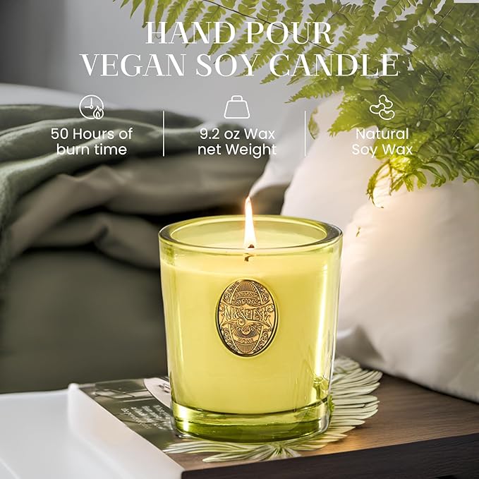 M&SENSE Natural Fresh Soy Candle | White Tea Sage & Matcha Green | 9.2 oz, 50H Burn Time | Luxury Scented Candle for Relaxation, Gifting, Home Décor | Ideal for Bedroom, Office, Party Ambiance