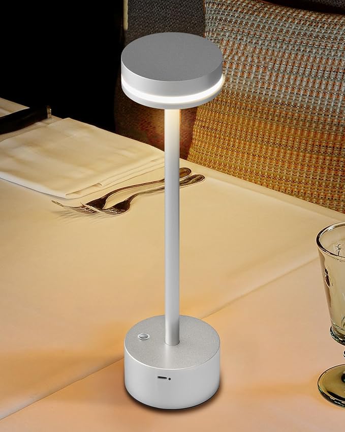 Modern LED Rechargeable Cordless Table Lamp with Touch Sensor, Aluminum Shell, 4000mAh Certified Battery, 3 Levels Brightness, USB-C Charging Port, 3000K Portable Metal Bedside Lamp (Silver)