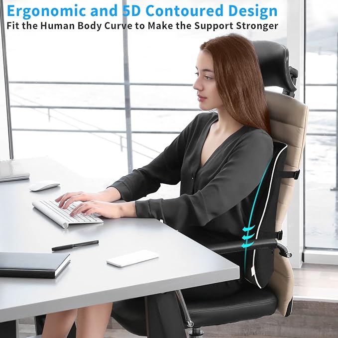 Lumbar Support Pillow,Memory Foam Back Support for Office Chair,Computer Chair,Car Seat,Recliner and Couch with Breathable 3D Mesh Cover,Ergonomic Design Orthopedic Backrest for Back Pain Relief