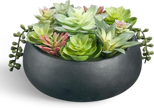 Artificial Succulent Plants Fake Potted Indoor with Ceramic Pot - Home Office, Bedroom, Bathroom Decor - Low Maintenance Desk Plants for Coffee Table & Room Aesthetics（Black）