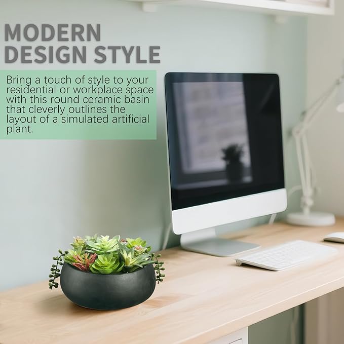 Artificial Succulent Plants Fake Potted Indoor with Ceramic Pot - Home Office, Bedroom, Bathroom Decor - Low Maintenance Desk Plants for Coffee Table & Room Aesthetics（Black）