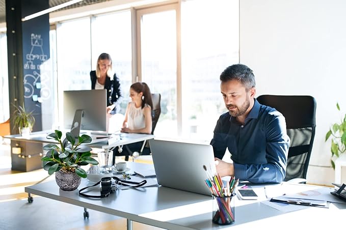 AlphaAcc Artificial Plants Potted Real Looking Small Faux Plant with Rustic Black Cement Planter for Kitchen Office Desk Bookshelf Decor (Ficus Plant)