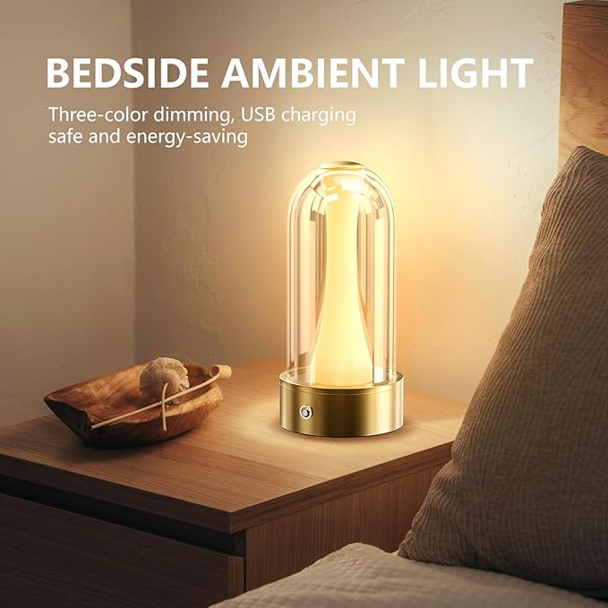 USB Rechargeable LED Table Lamp, 3 Color Changing Modes Bedside Lamp, Portable Touch Button Mood Light for Bedroom, Camping