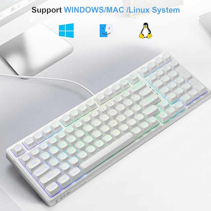 HUO JI E-Yooso Creamy Mechanical Keyboard Wired, Hot Swappable, Pre-lubed Linear Switches, Gasket Structure with Sound Dampening Foam, RGB Backlit, 99 Keys Custom Gaming Keyboard for PC/Mac,White
