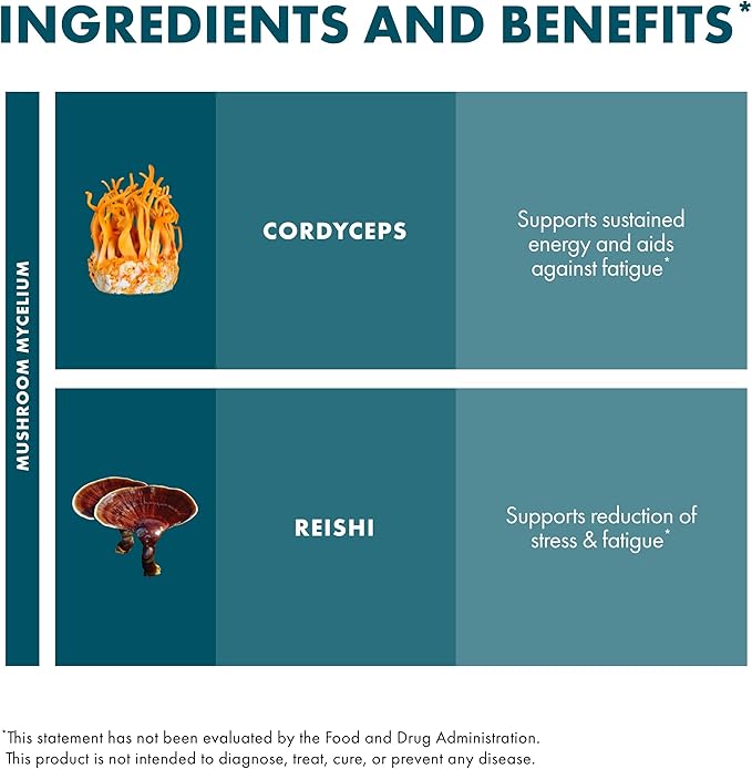 Host Defense CordyChi Powder - Energy & Immune Support Supplement - Cordyceps & Reishi Mushroom Supplement for Relaxation & Respiratory Support - Aids Against Tiredness - 3.5 oz (66 Servings)*