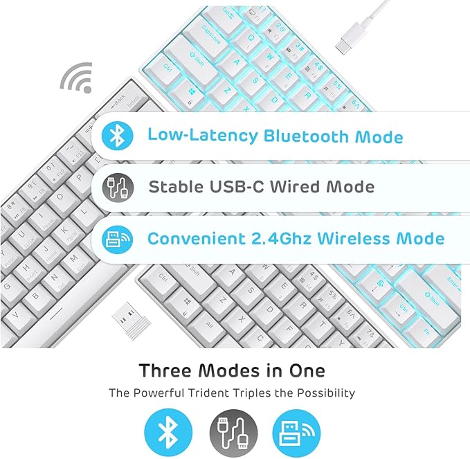 RK ROYAL KLUDGE RK61 Wireless 60% Triple Mode BT5.0/2.4G/USB-C Mechanical Keyboard, 61 Keys, Compact Gaming Keyboard w/Software (Hot Swappable Brown Switch, White)