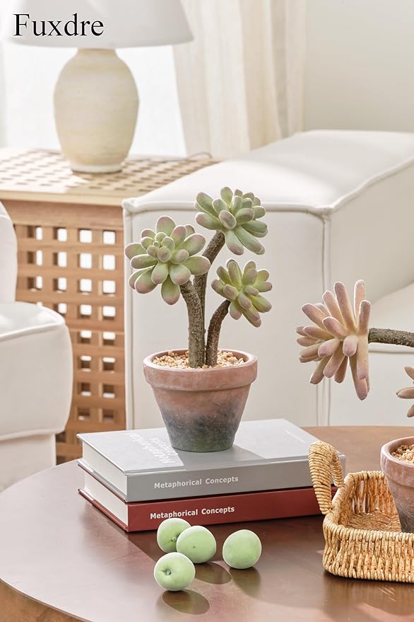 2-Pack Artificial Succulent Plants in Vintage Plastic Pots - Waterproof Fake Succulents Decor for Home, Office, Desk - Low Maintenance Indoor Plants for Bathroom, Shelf, Table Decor