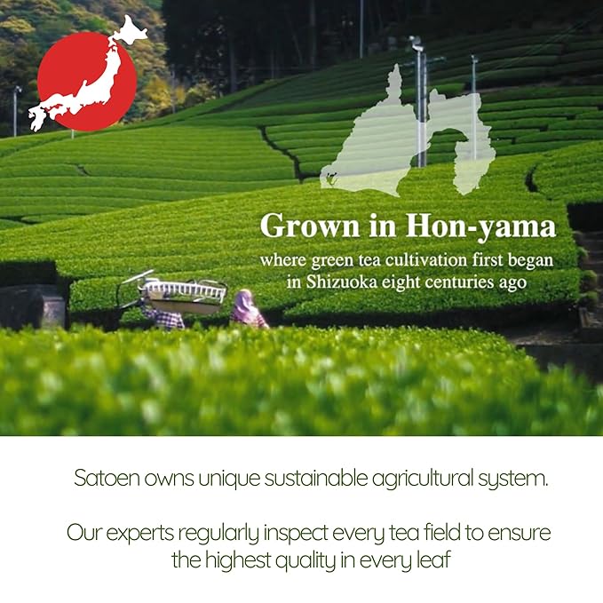 Satoen Authentic Japanese Ceremonial Grade Matcha Powder - Ceremonial Matcha Green Tea Powder from 100% Spring Premium First Harvest - Crafted for Matcha Straight Tea (100g)