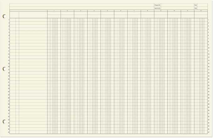 BookFactory Ledger Sheets/Large 12 Column Accounting Ledger Columnar (Twelve Columns) Loose Leaf Paper - 17'' x 11'', 50 Pages, Loose Leaf, 3 Hole Punched (SHEET-050-CLCLL(17x11-Ledger-12)-AX)