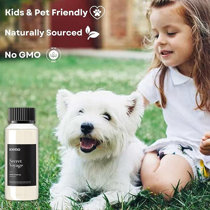 Hotel Diffuser Oil Inspired by The Baccarat Hotel - 120 mL 4.06 fl oz -HVAC,Cold Air & Ultrasonic Diffuser Oil,Fragrance Oil Blend- Secret Voyage, Mothers Day Gift