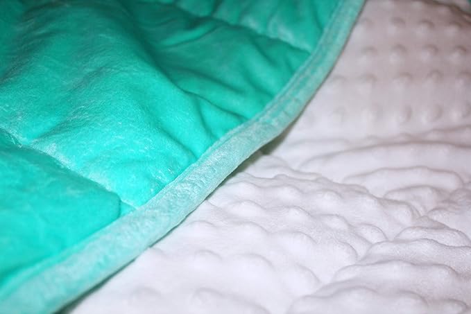 ALANSMA Reversible Weighted Blanket for All Season, Luxury Velvet, Warm and Cool, Adult 20Lb Green Weighted Blanket, Enjoy Sleeping Anywhere(Light Green,60"x80" 20lbs)