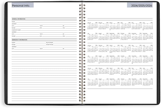 AT-A-GLANCE 2025 Appointment Book Planner, Weekly, 8" x 11", Large, Quarter-Hourly, DayMinder, Black (G5200025)