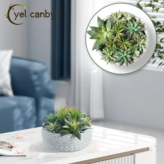 Artificial Succulent Plants Faux Potted Indoor with Ceramic Pot - Fake Plants for Bedroom, Bathroom, Home Office, Coffee Table Decor - Desk & Room Aesthetics